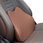 Brown Back Cushion