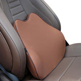 Brown Back Cushion